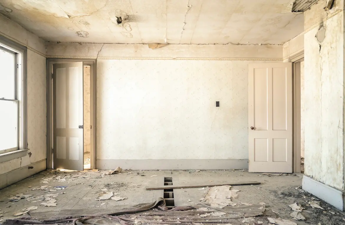 Waste disposal crew managing a cleanout project in Shavano Park